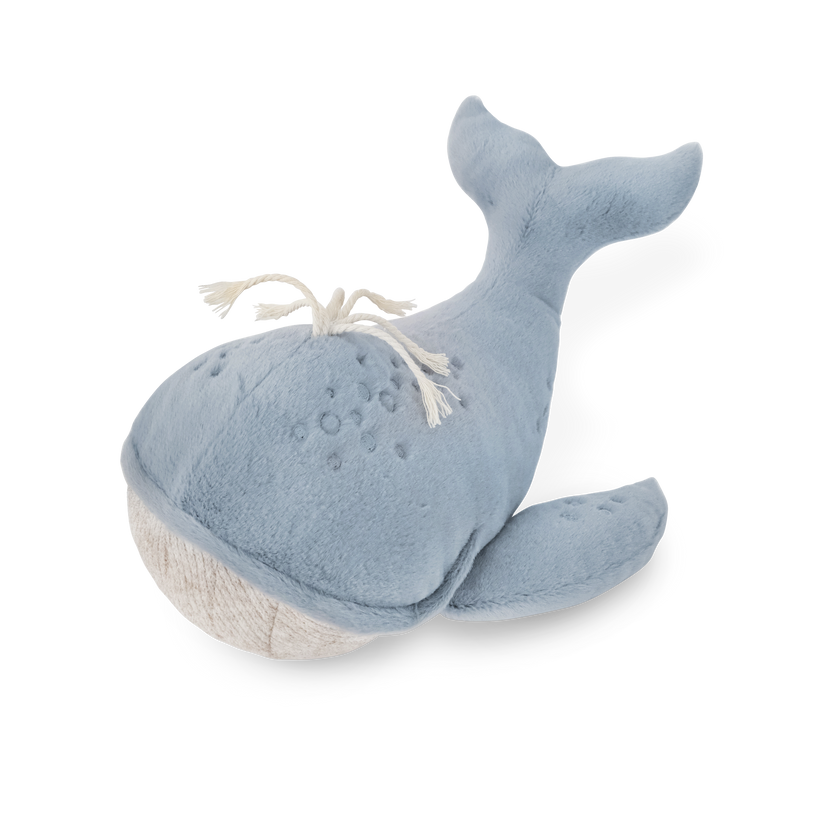 Wally the Whale