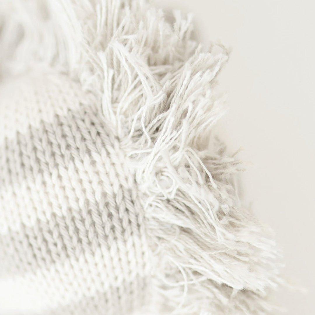 Baby zebra image number 2