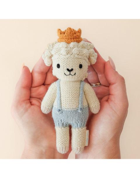 Tiny Sebastian the lamb