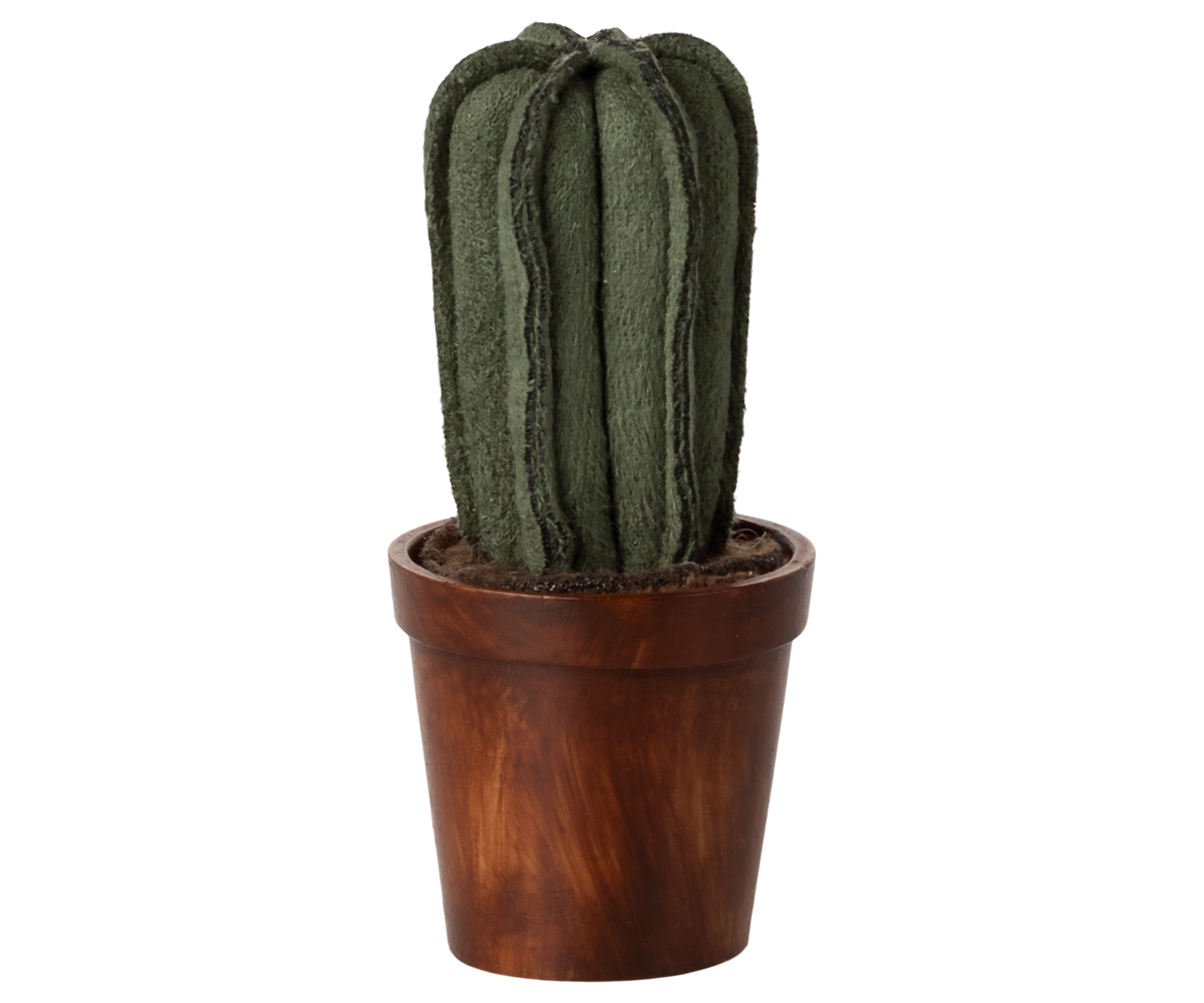 Flower pot with cactus