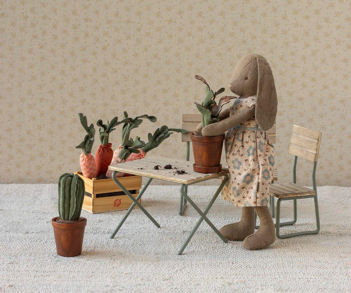 Flower pot with cactus image number 1