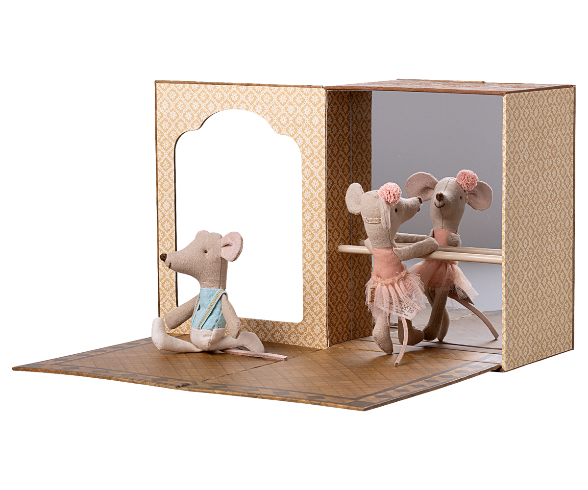 Ballet mice in dance studio, Little sister and brother