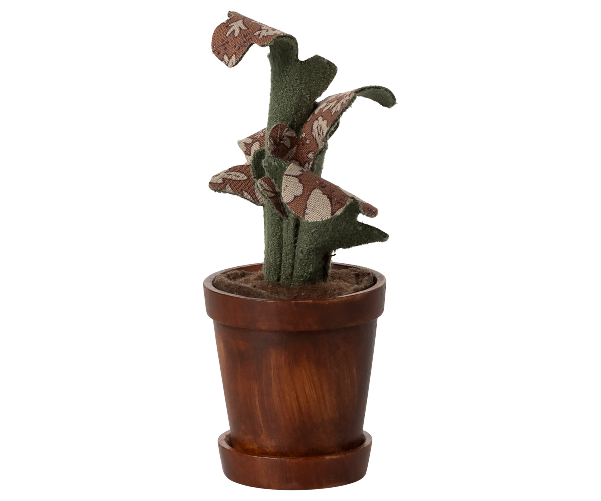 Flower pot with plant