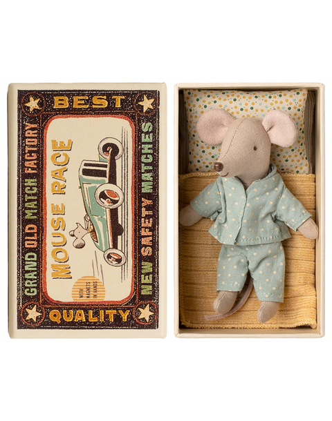 Little brother mouse in matchbox