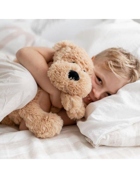Buddies Bedtime Bundle: Charlie the Puppy Dog