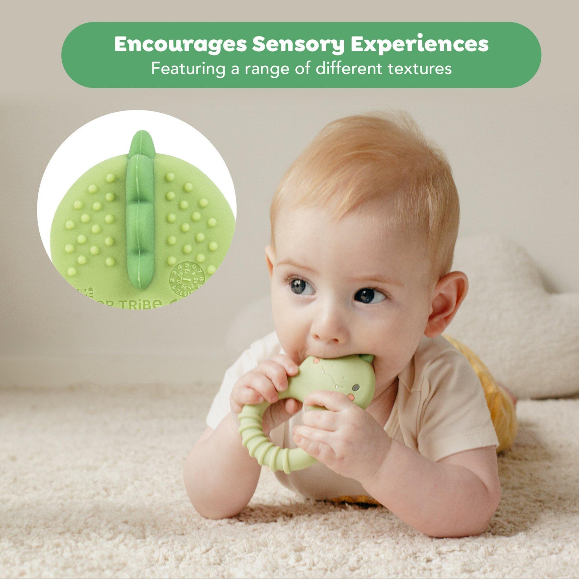 Silicone Teether: Dino image number 4