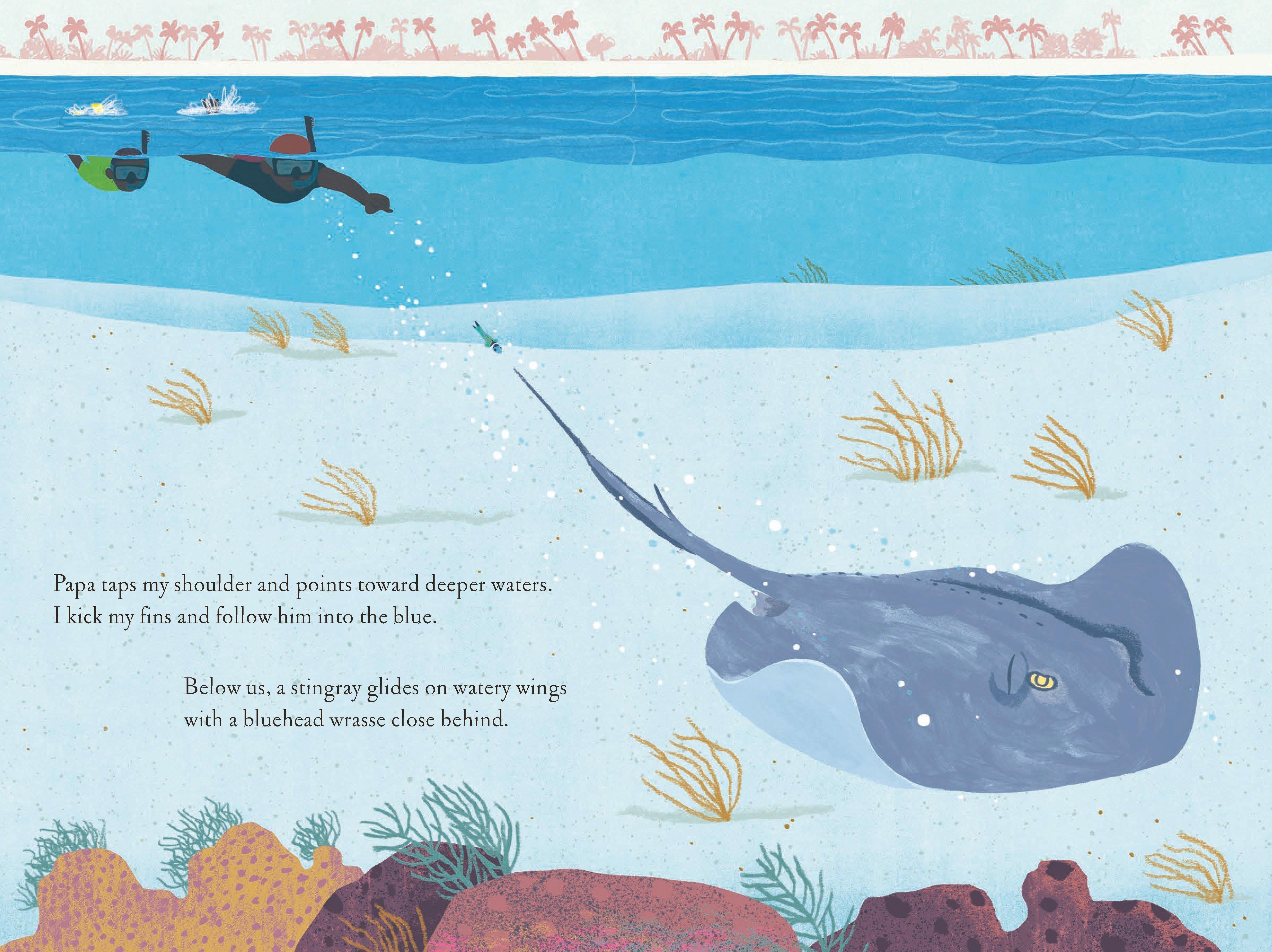 Over & Under Water Hardcover Book Set image number 2