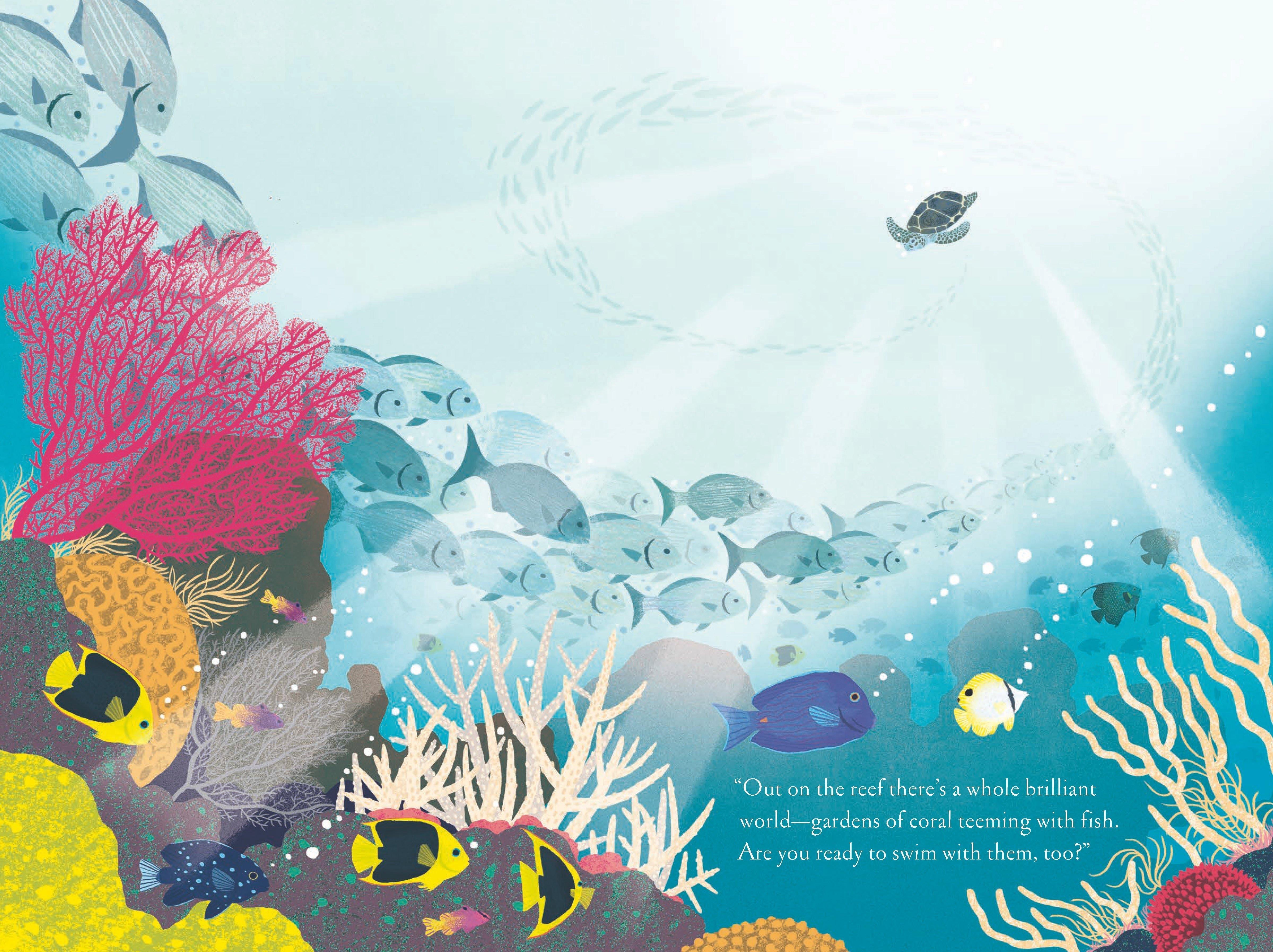 Over & Under Water Hardcover Book Set image number 4