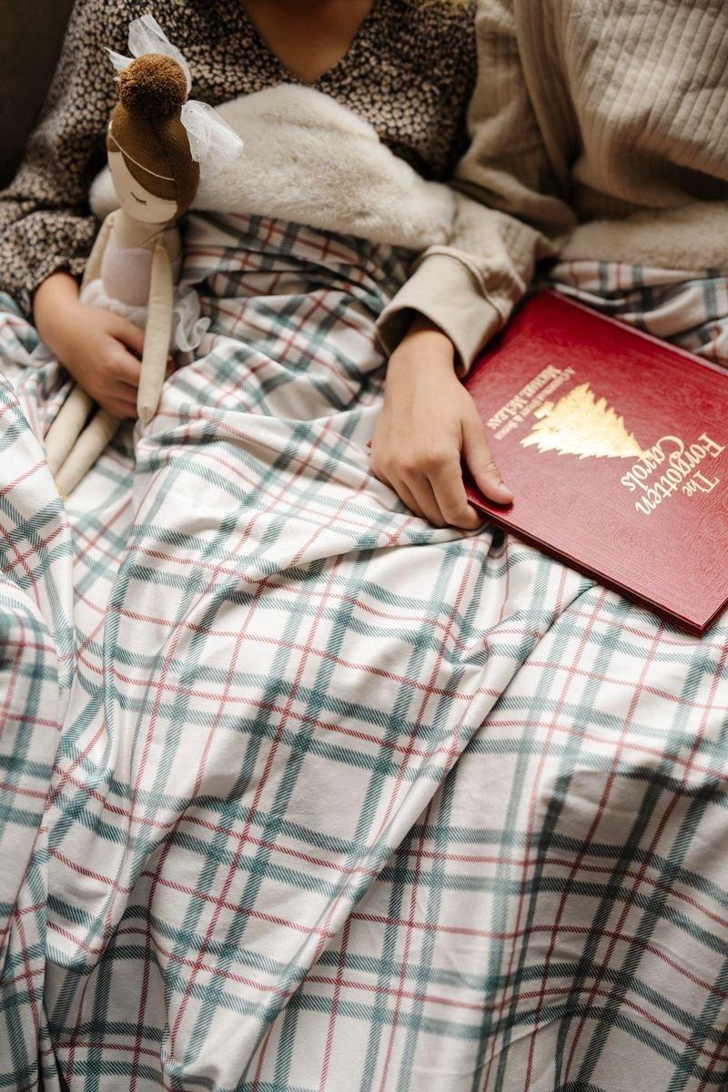 Minky/Faux Fur Throw Blanket in Holiday Plaid image number 1