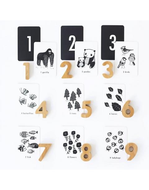 Counting Adventure Bundle