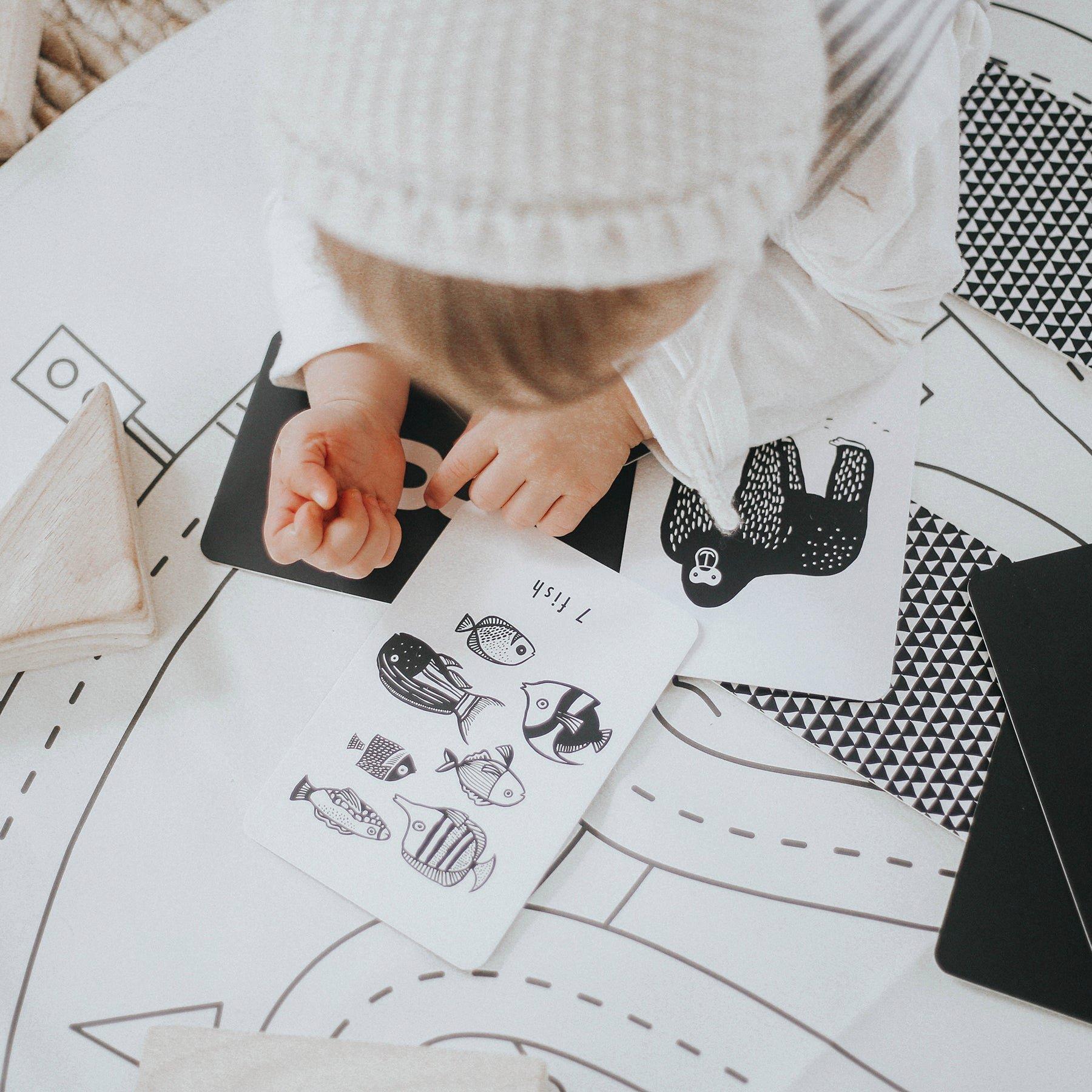 Counting Adventure Bundle image number 3