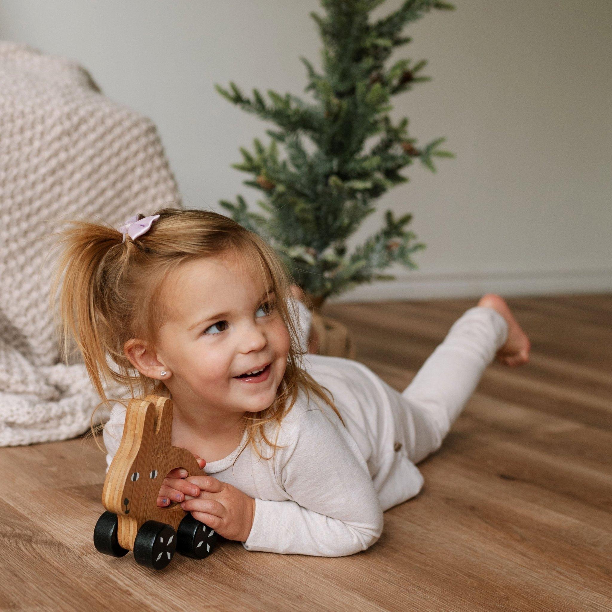 Bunny Push Toy image number 2