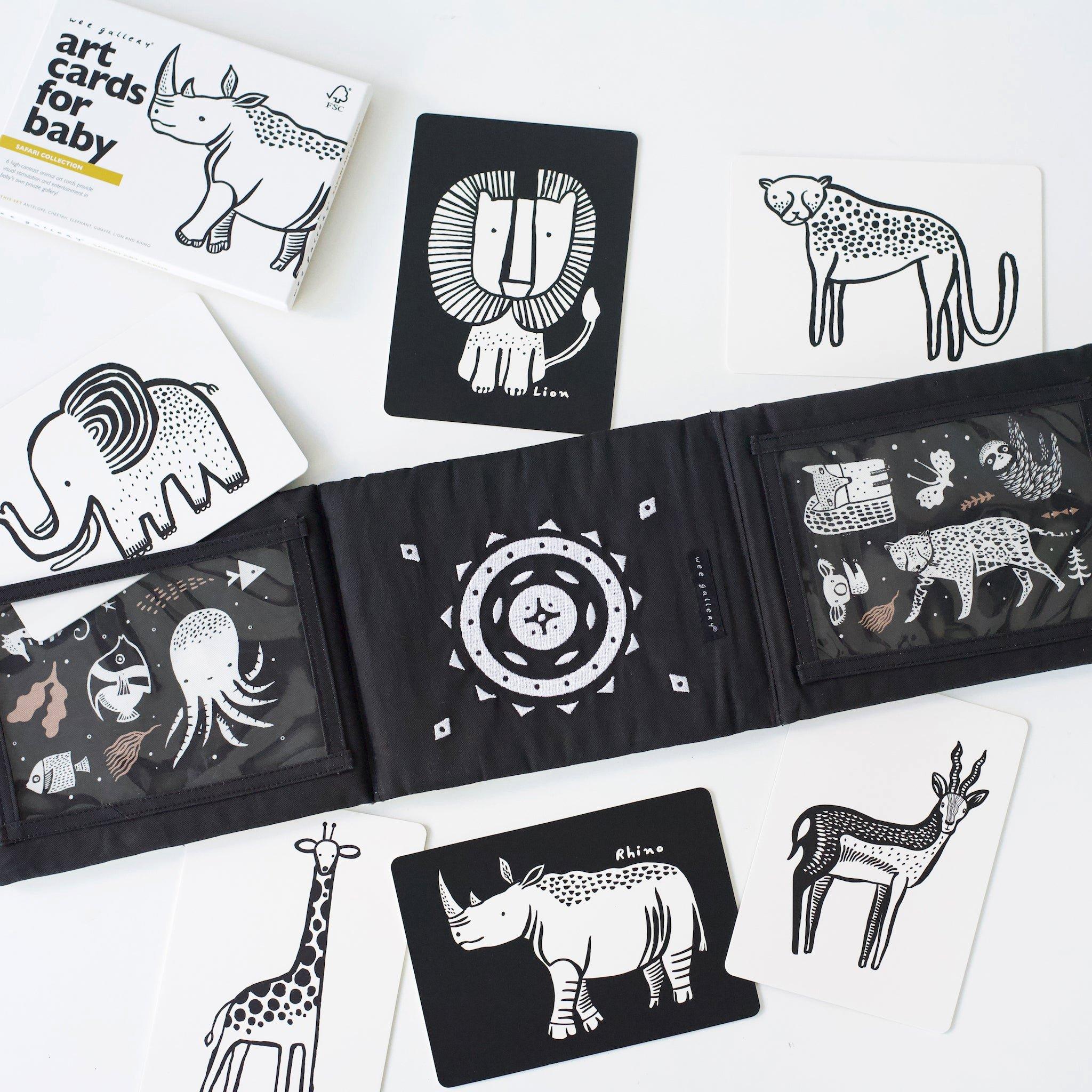 Developmental Bundle for Baby - Safari image number 1