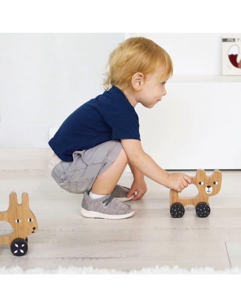 Bear Push Toy