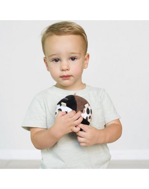 Taggy Ball - Acorn