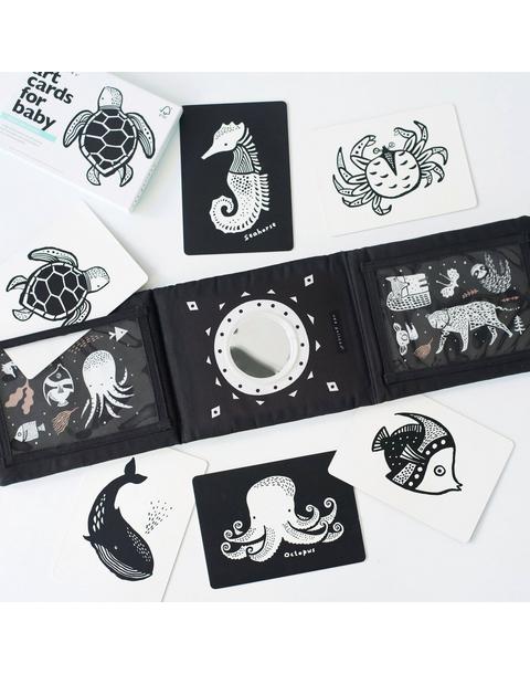 Baby Tummy Time Gallery with Ocean Art Cards Bundle