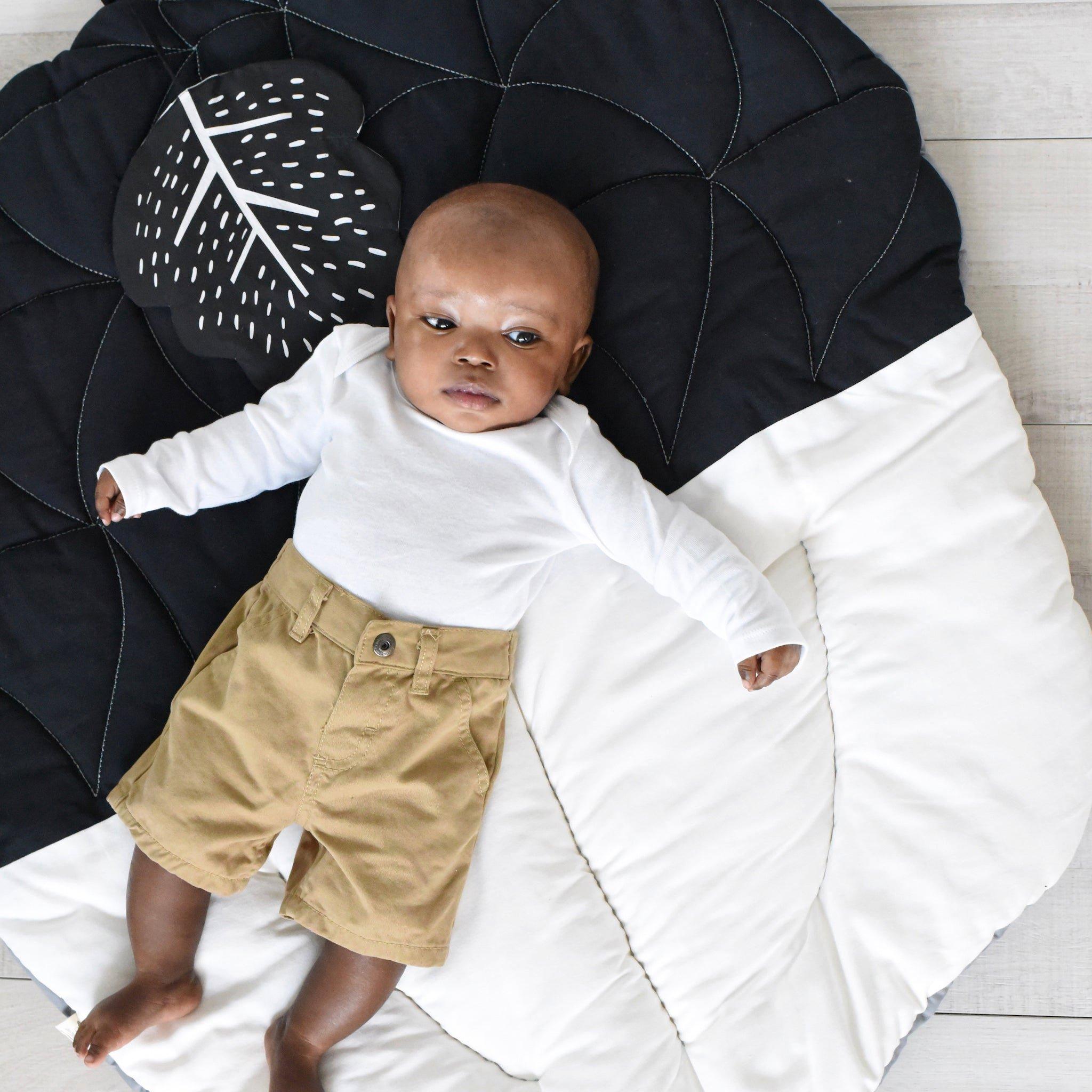 Little Acorn Bundle image number 1