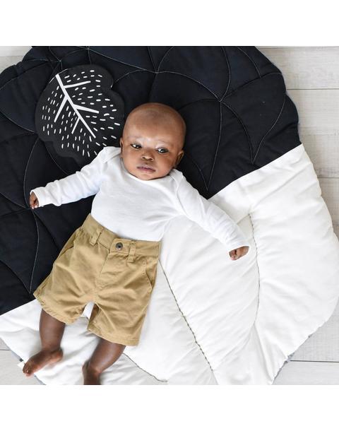 Little Acorn Bundle