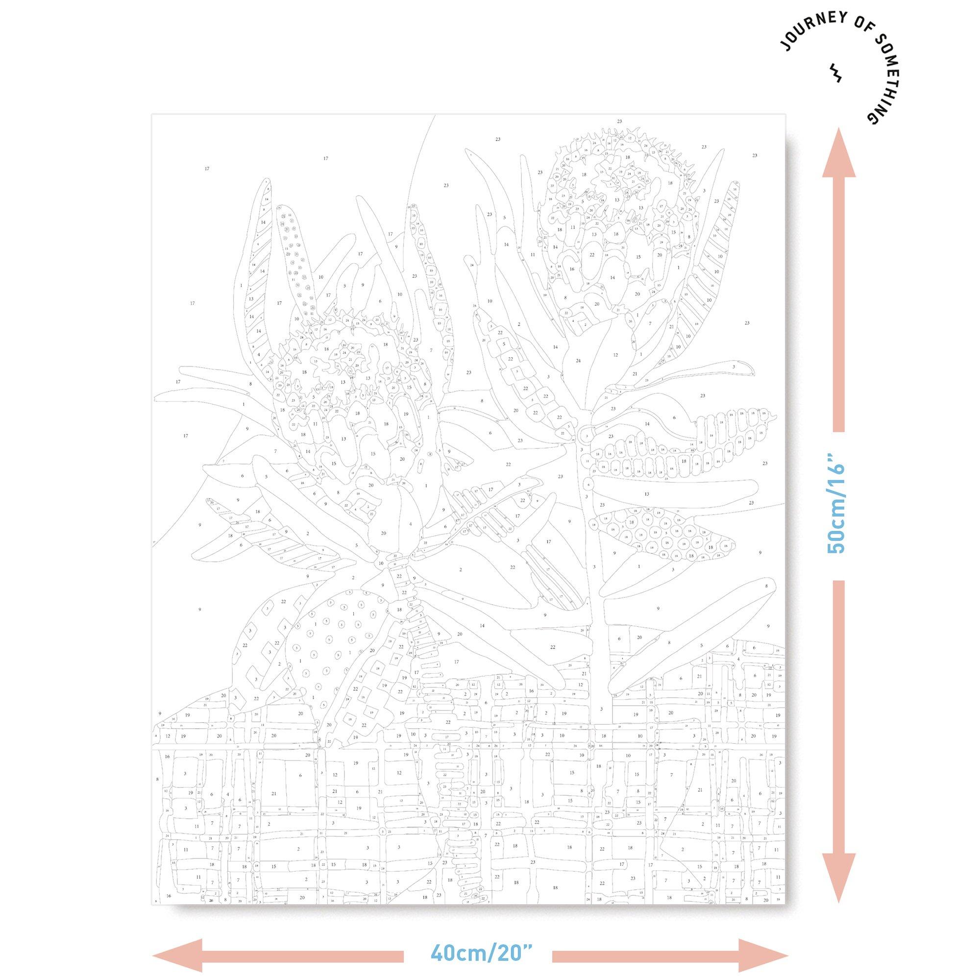 Paint by Numbers - Two Proteas image number 4