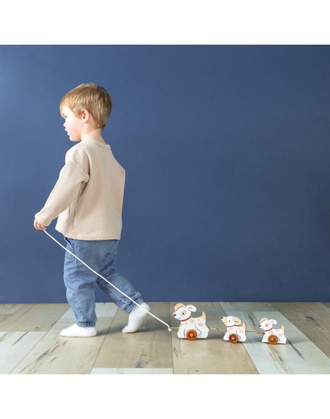 Pull Toy - The 3 Dogs