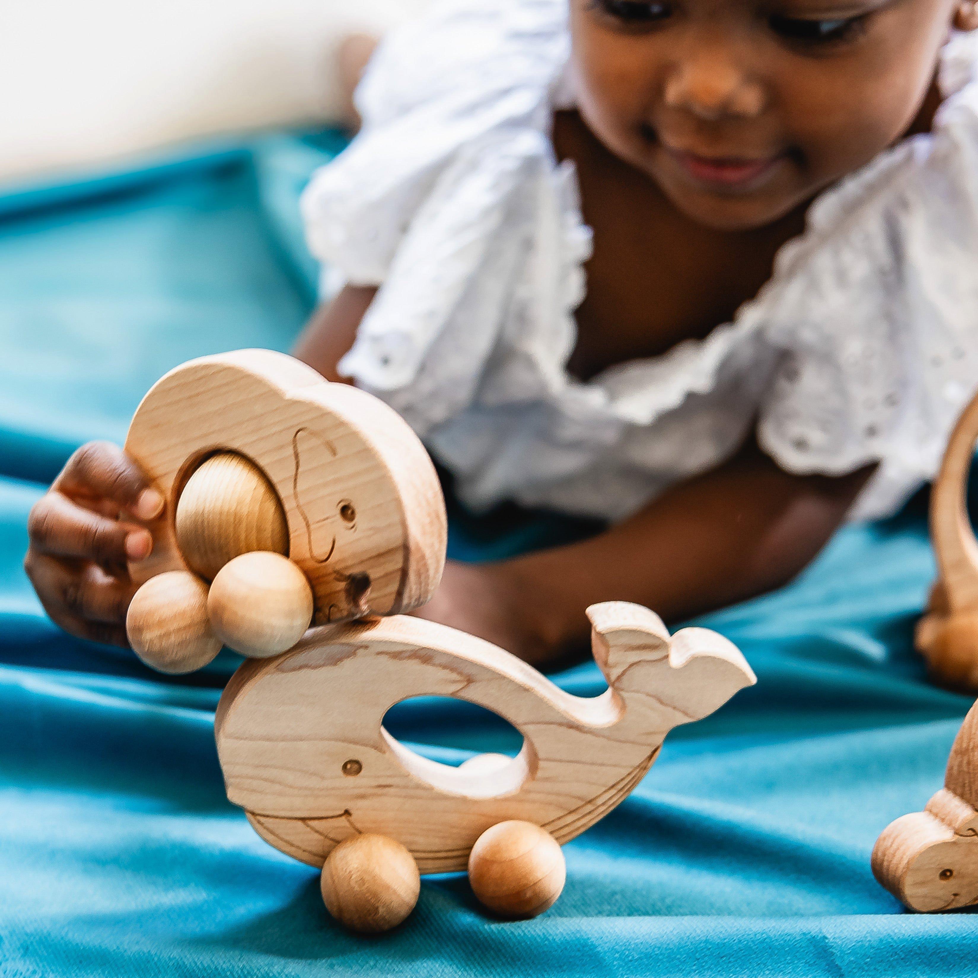 Easy Grasp Whale Push Toy image number 1