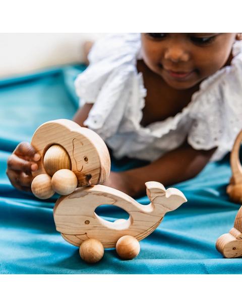Easy Grasp Whale Push Toy
