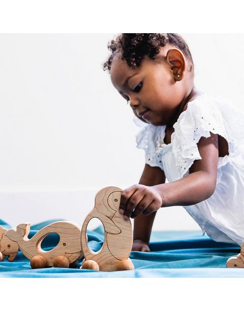 Easy Grasp Penguin Push Toy