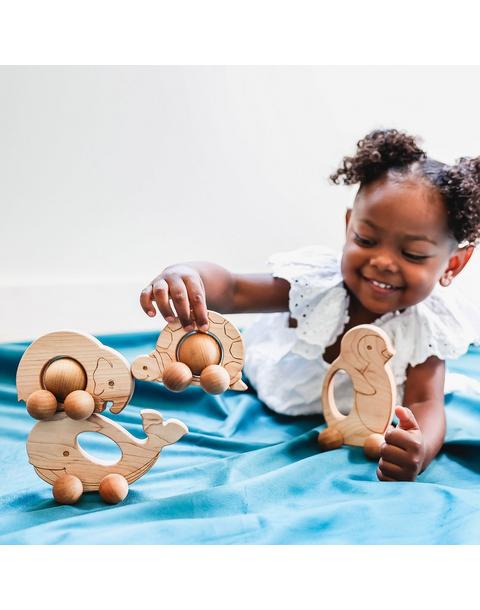 Roly Poly Turtle Push Toy