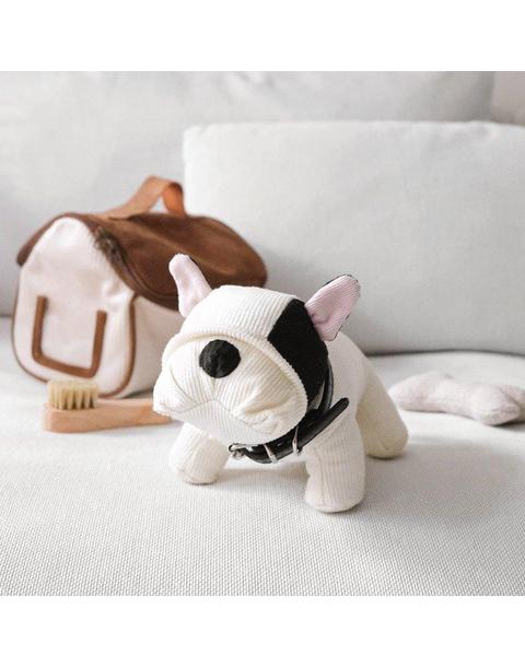 Pet Puppy Barkley & House