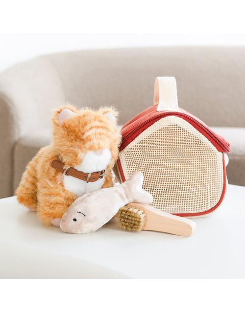 Pet Kitty Munchkin & House