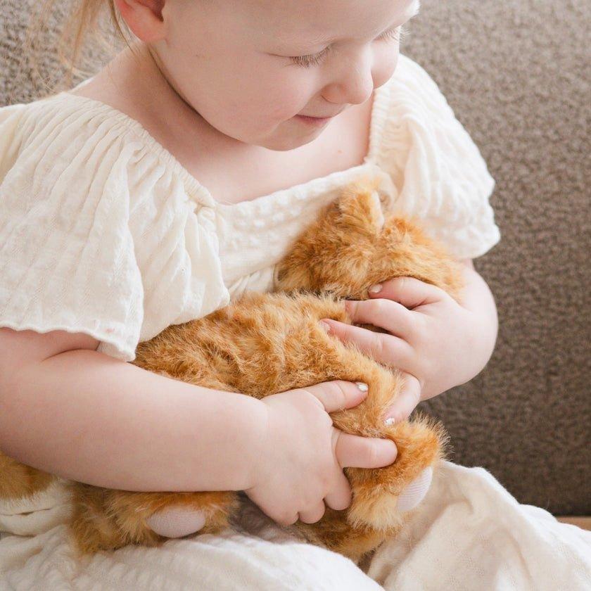 Pet Kitty Munchkin & House image number 3