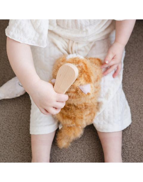 Pet Kitty Munchkin & House