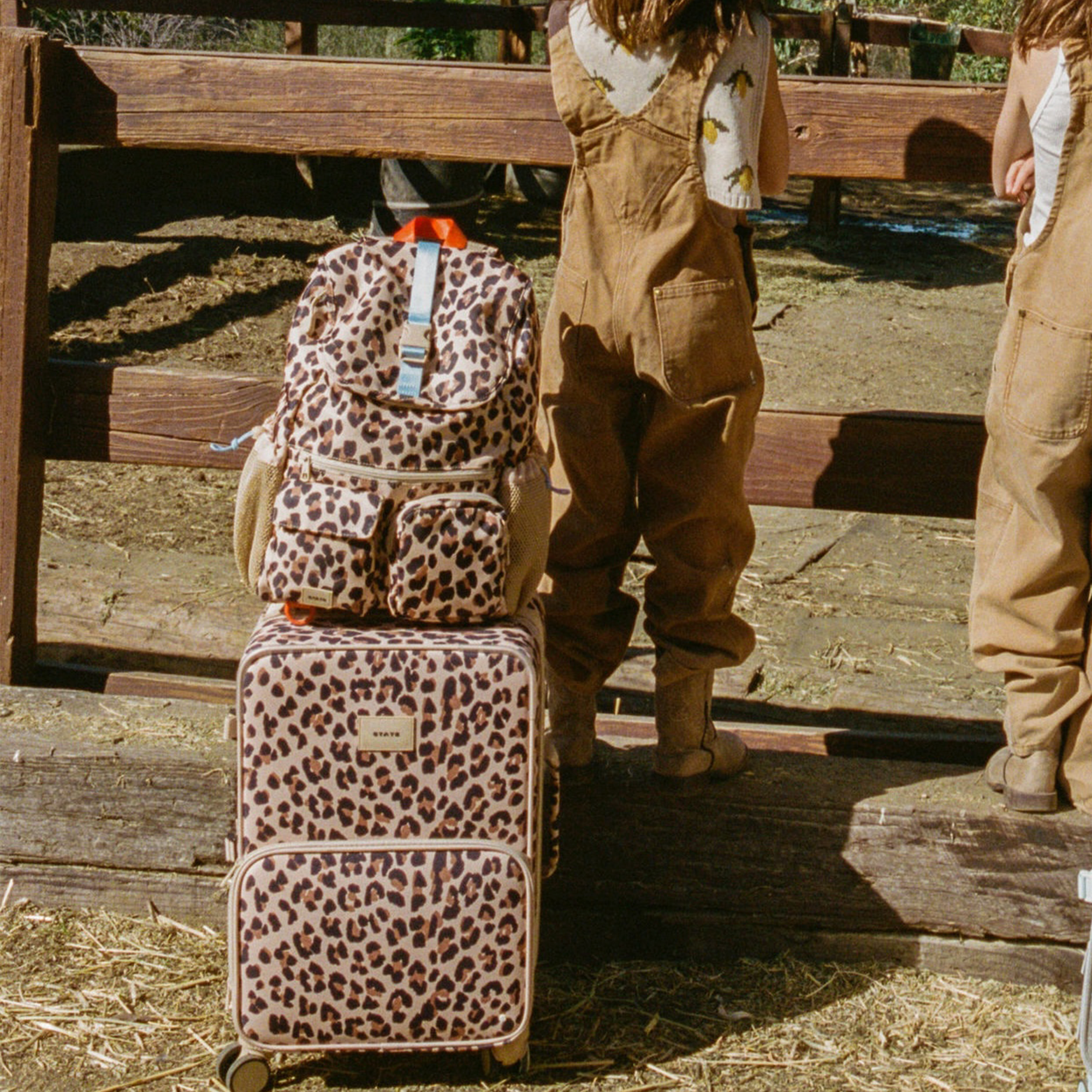 Logan Carry-On Suitcase | Leopard image number 3