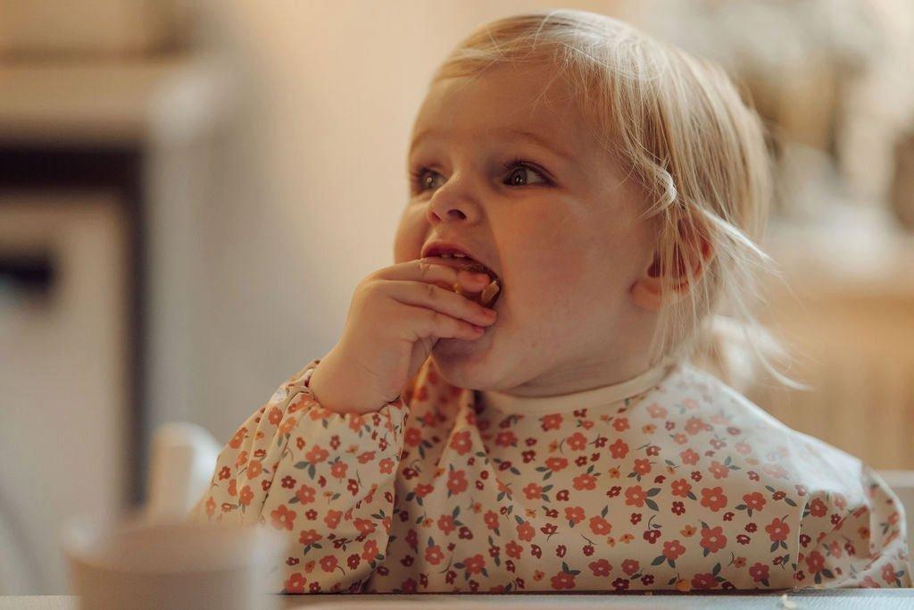 Smock Bib | Sunset Meadow image number 4