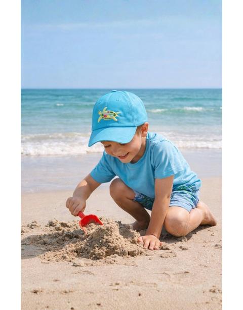Turtle Baseball Hat, Blue