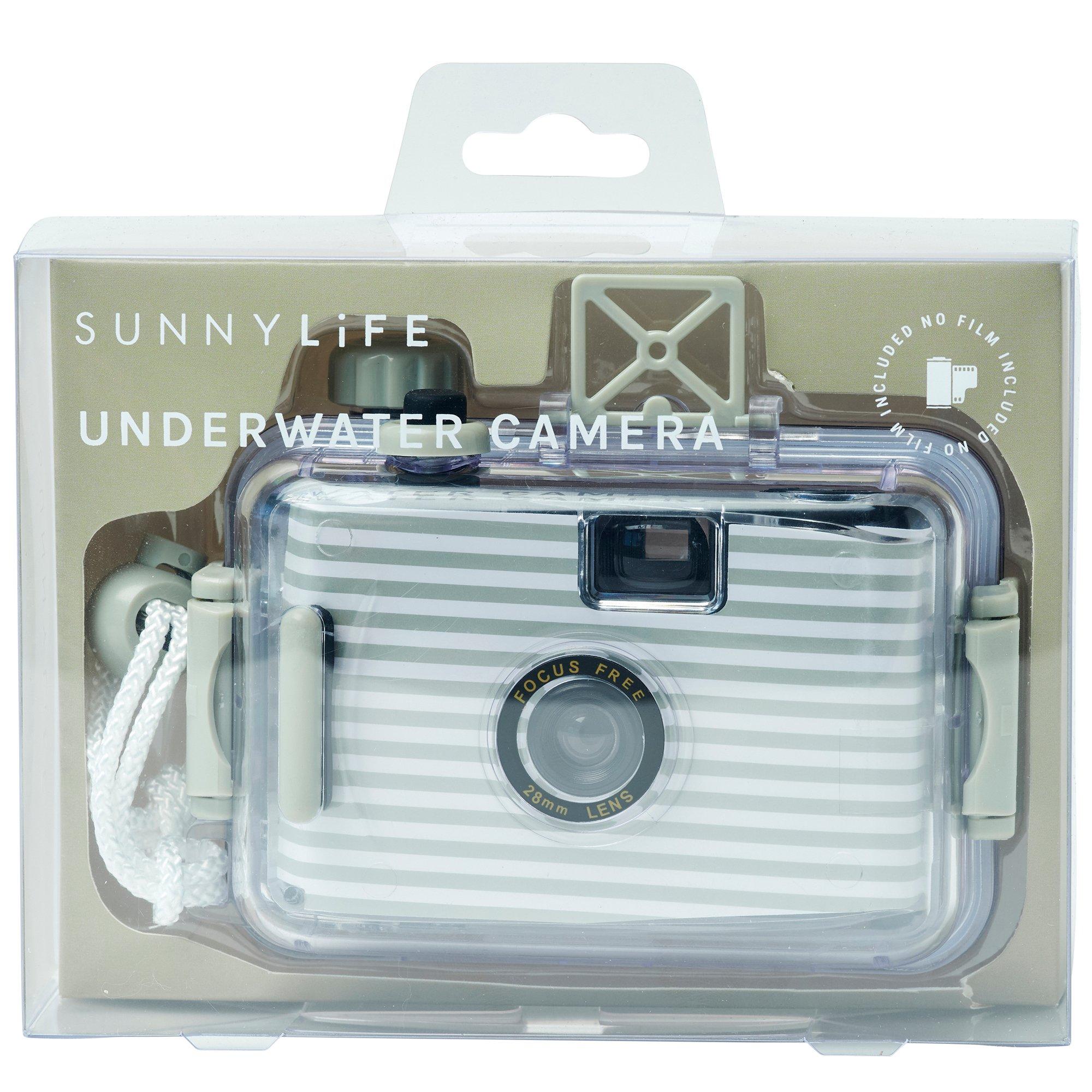 Underwater Camera: Seagrass Sage image number 3