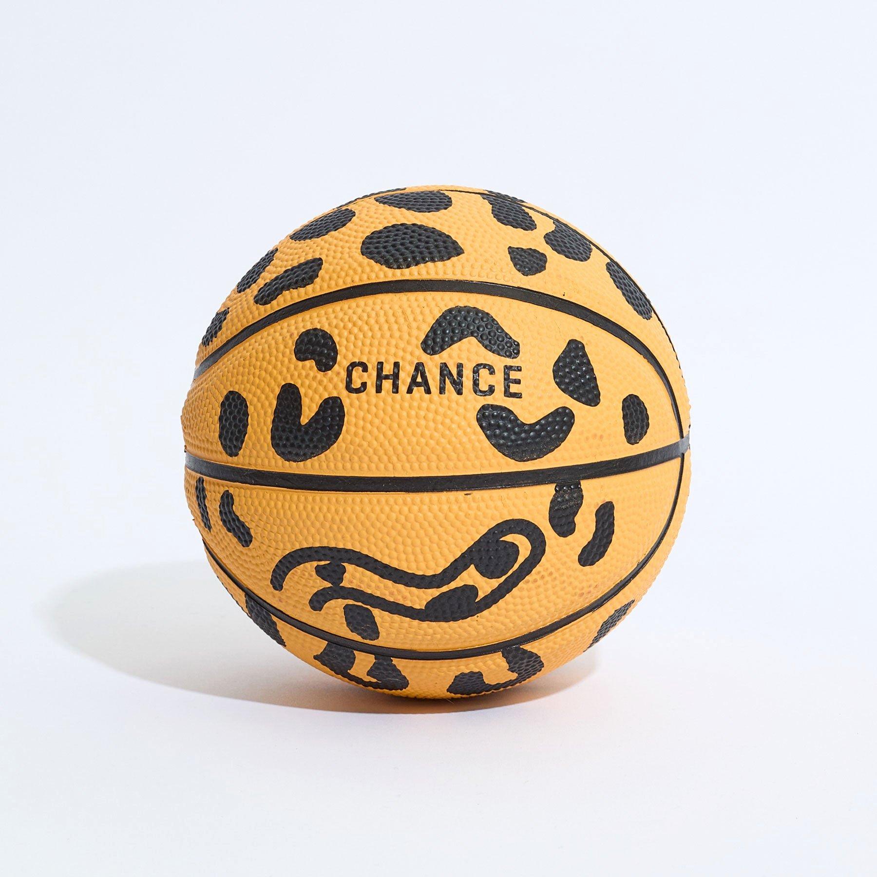 Chester Mini Basketball image number 1