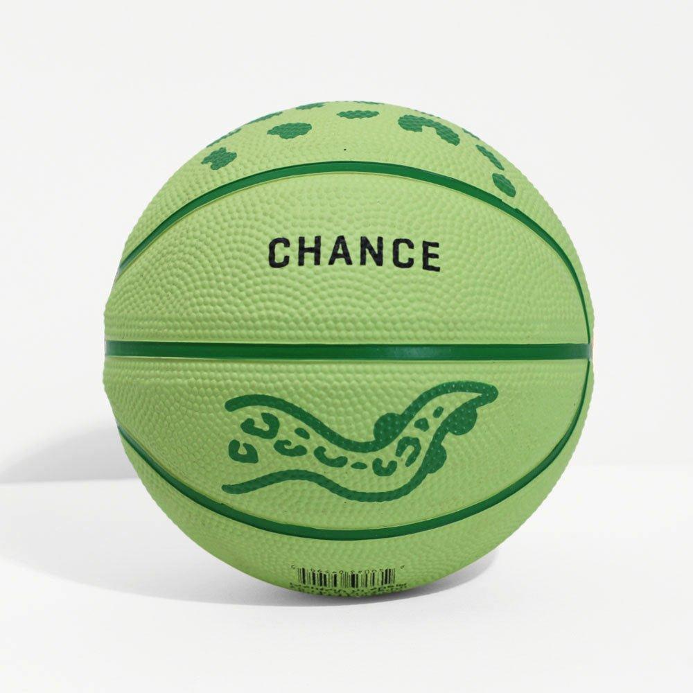 Gecko Mini Basketball image number 1
