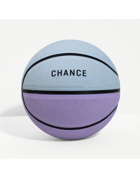 Pastel Multi Mini Basketball