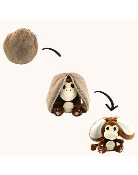 Coconet the Monkey/Coconut