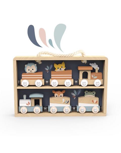 Train Set Display Case