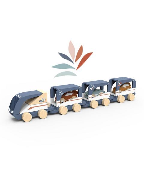 Train Vehicle Carrier
