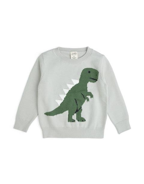 Dinosaur Sweater