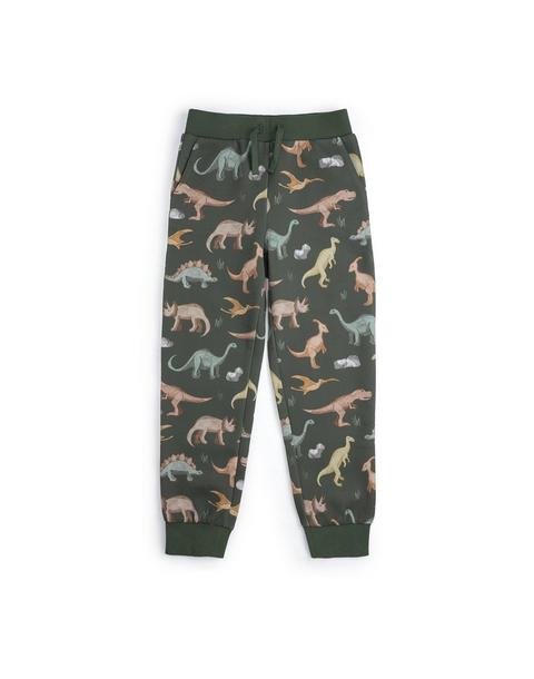 Dinosaurs Rock Jogger