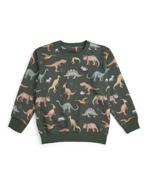 Dinosaurs Rock Sweatshirt