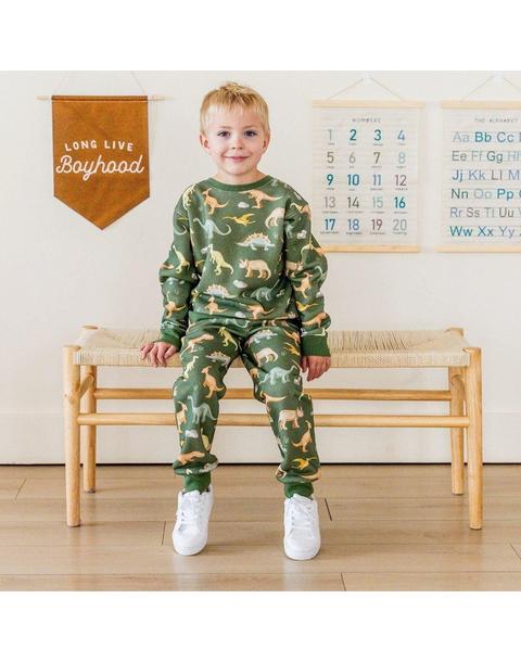 Dinosaurs Rock Sweatshirt