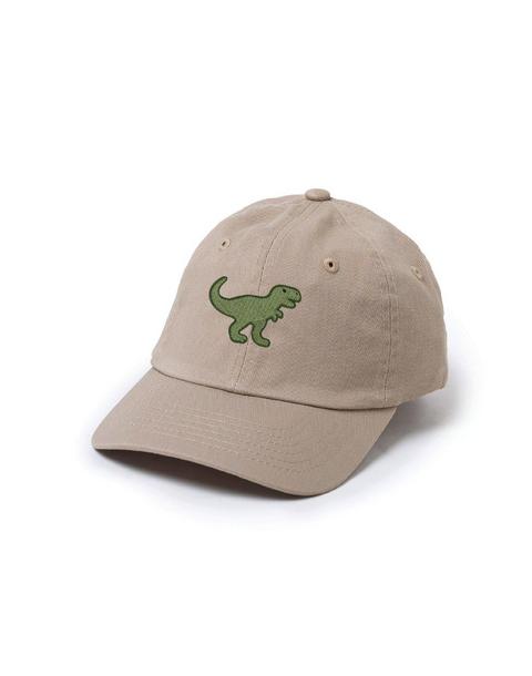 Dinosaur Patch Baseball Hat