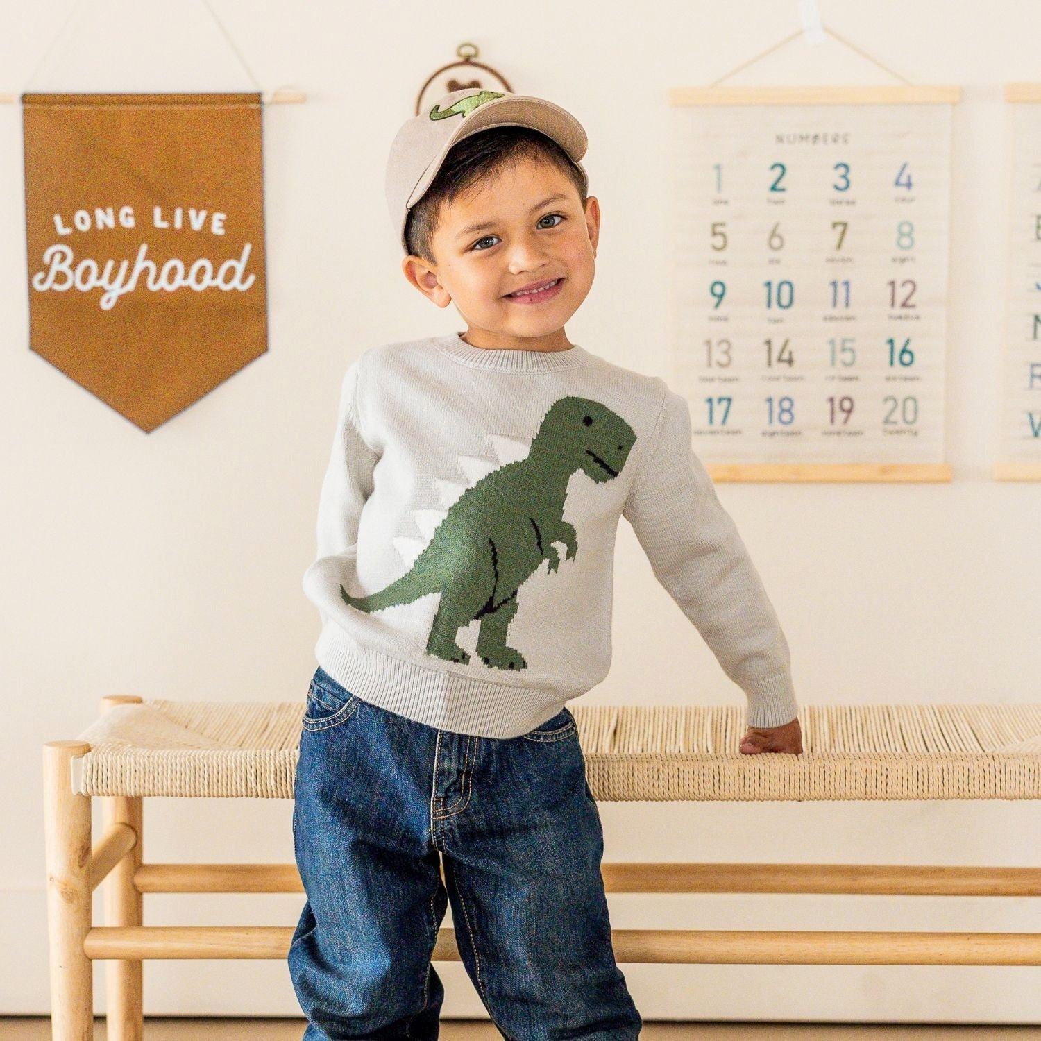 Dinosaur Patch Baseball Hat image number 1