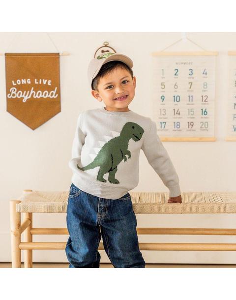 Dinosaur Patch Baseball Hat