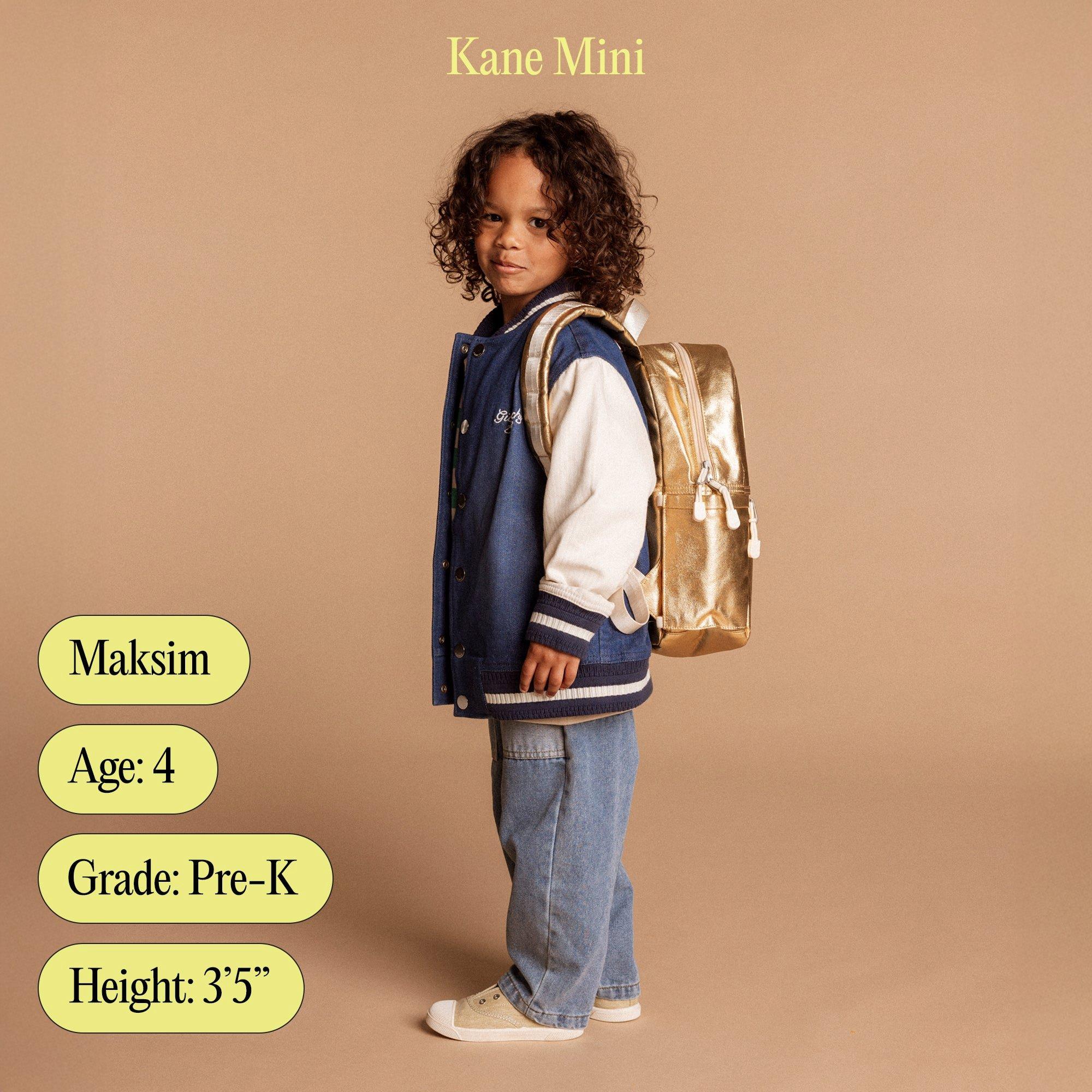Kane Mini Backpack | Helicopter image number 4